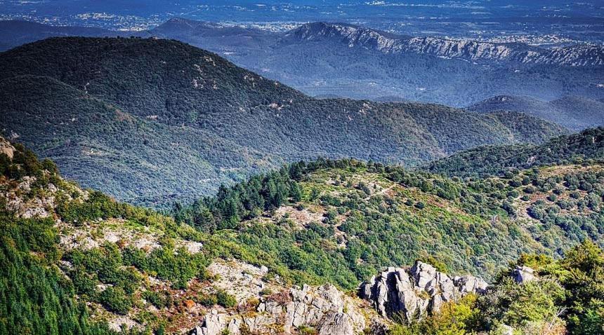 Appartamento Nos Jours Heureux Barjac  Esterno foto